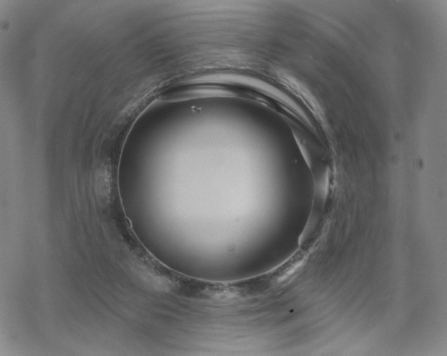 X0000070180113200606021042