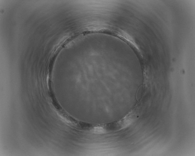 X0000070180114200606021042