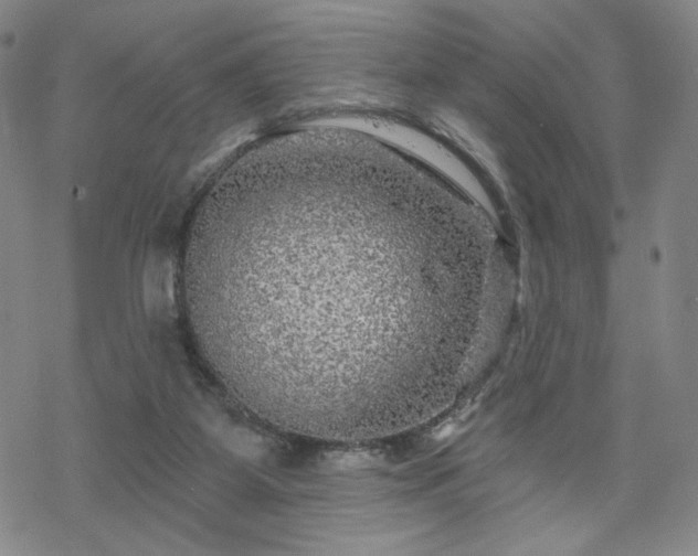 X0000070180115200606021042