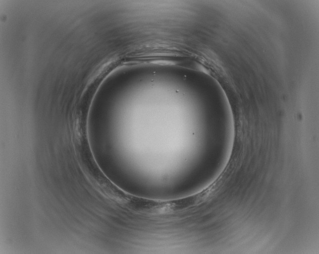 X0000070180116200606021042