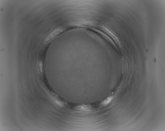 X0000070180117200606021042