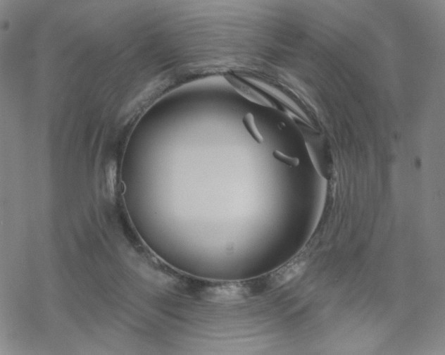 X0000070180118200606021042