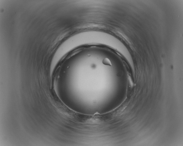 X0000070180119200606021042