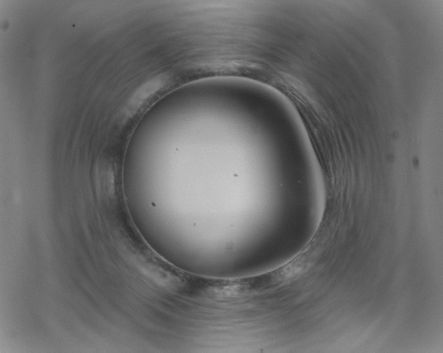 X0000070180120200606021042