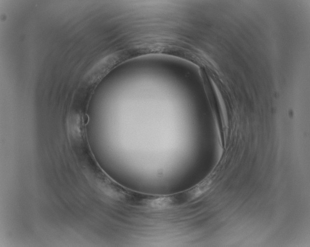 X0000070180122200606021042