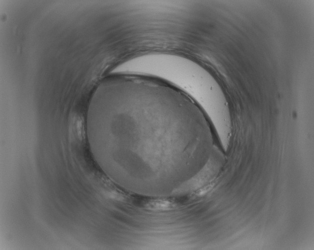 X0000070180123200606021042