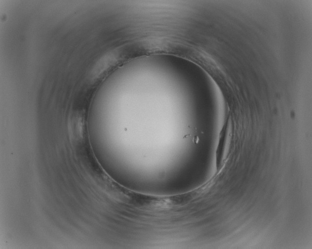 X0000070180124200606021042