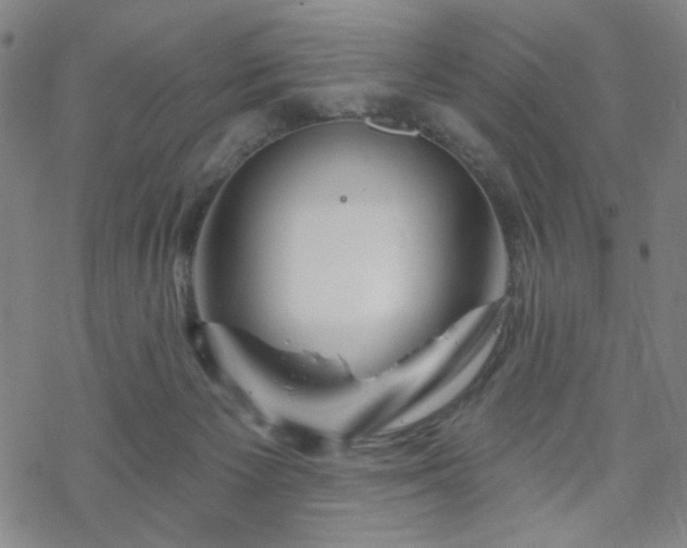 X0000070180125200606021042