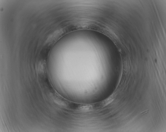 X0000070180126200606021042