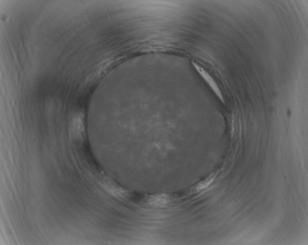 X0000070180127200606021042