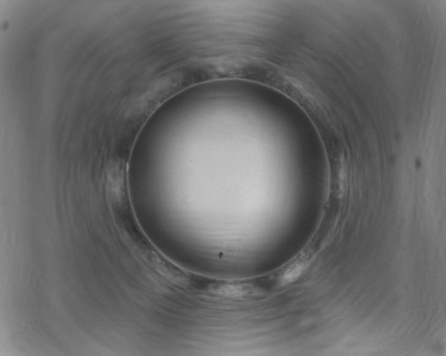 X0000070180129200606021042