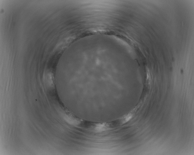 X0000070180130200606021042