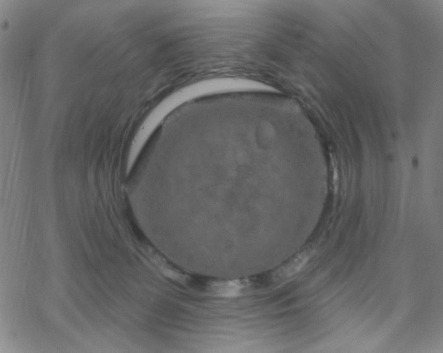 X0000070180131200606021042