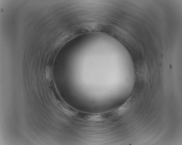 X0000070180132200606021042