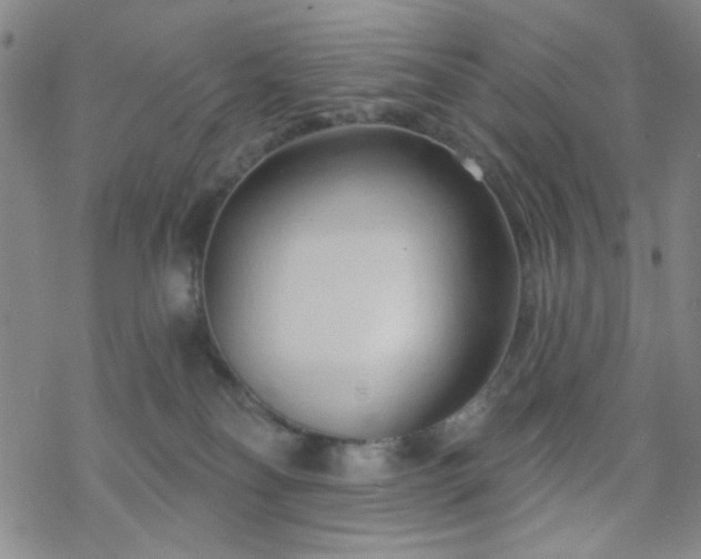 X0000070180134200606021042