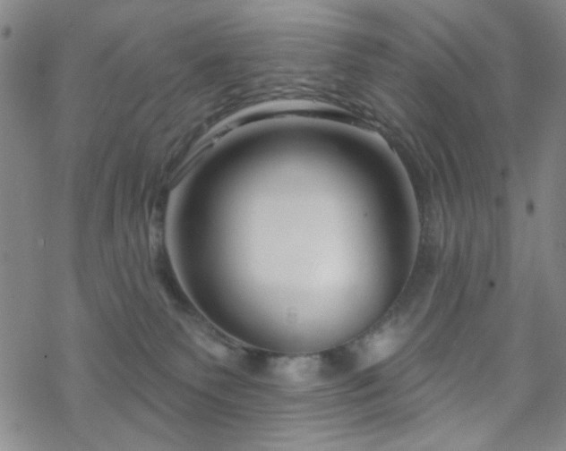 X0000070180135200606021042