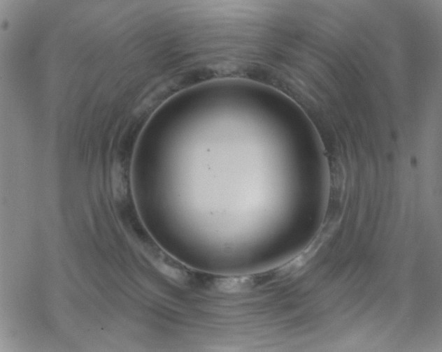 X0000070180136200606021042