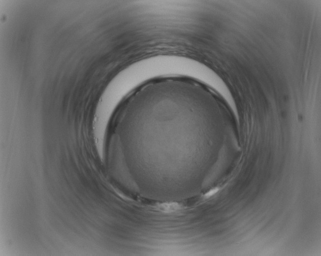 X0000070180137200606021042