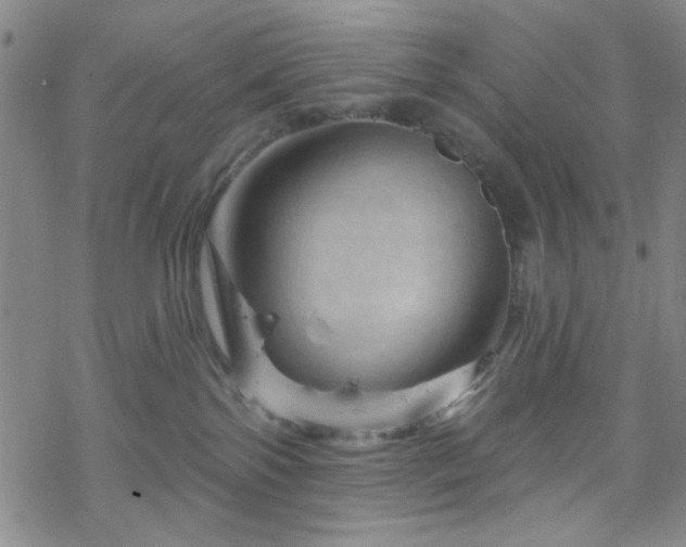 X0000070180138200606021042