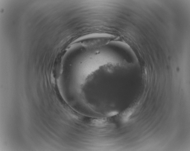 X0000070180139200606021042