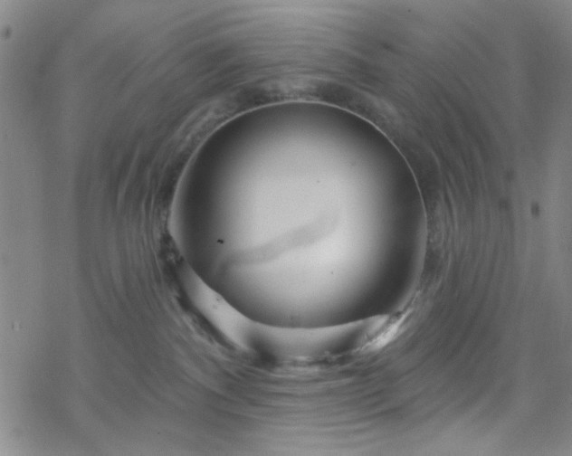 X0000070180140200606021042