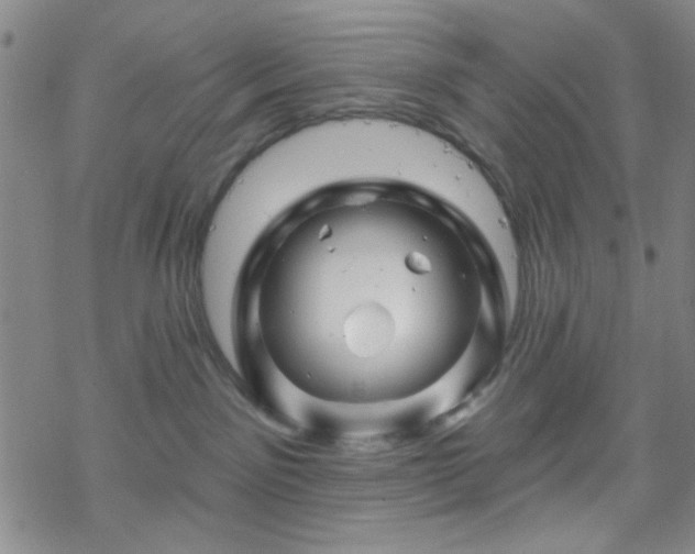 X0000070180141200606021042