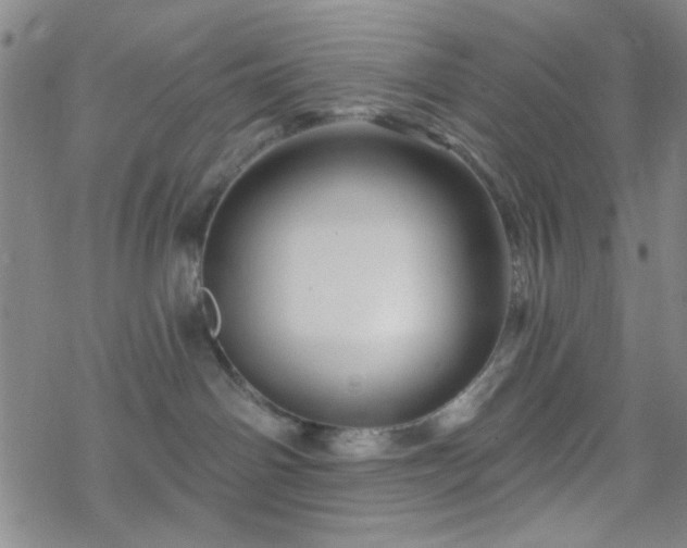 X0000070180142200606021042