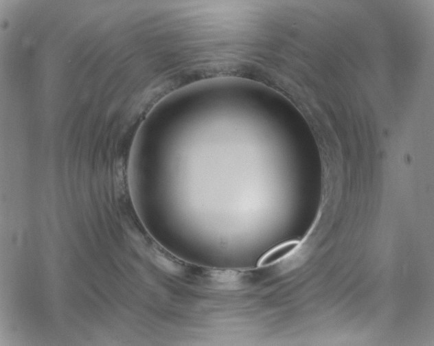 X0000070180144200606021042