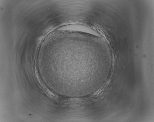 X0000070180145200606021041