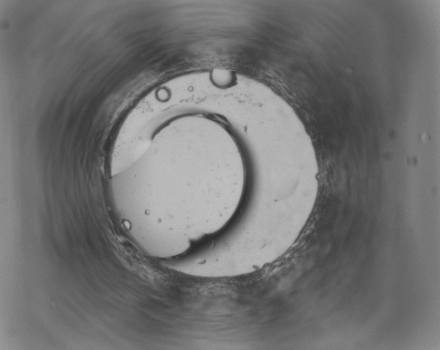 X0000070180146200606021041