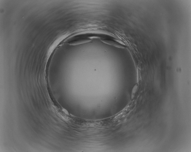 X0000070180147200606021041