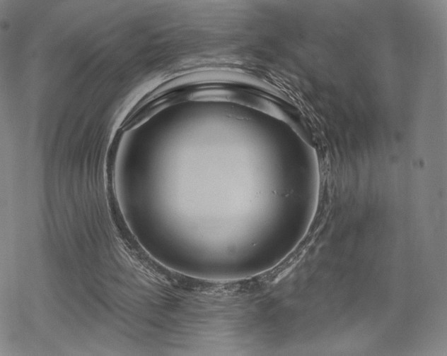 X0000070180148200606021041