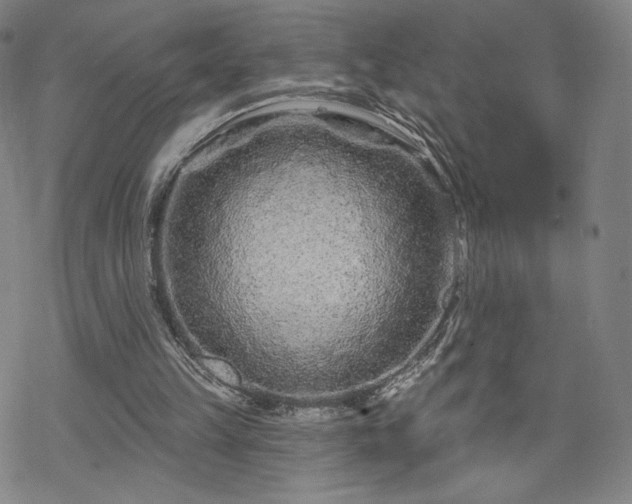 X0000070180149200606021041