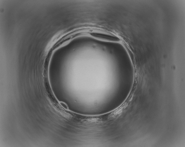 X0000070180151200606021041