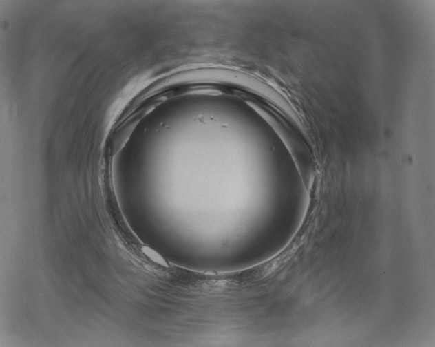 X0000070180152200606021041