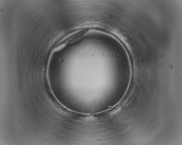 X0000070180153200606021041