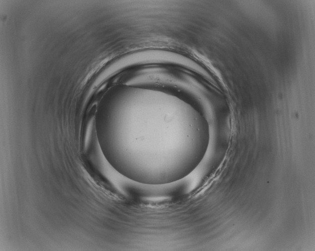 X0000070180154200606021041