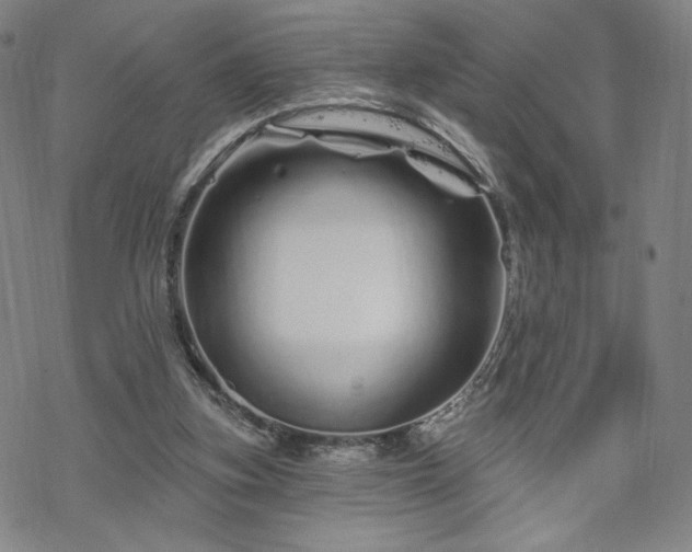 X0000070180155200606021041