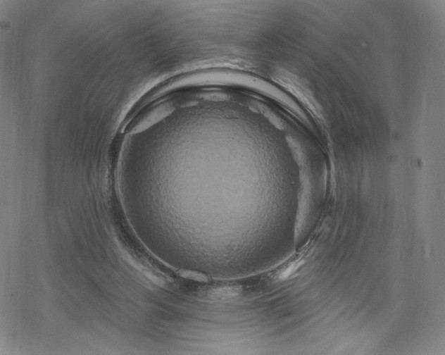 X0000070180156200606021041