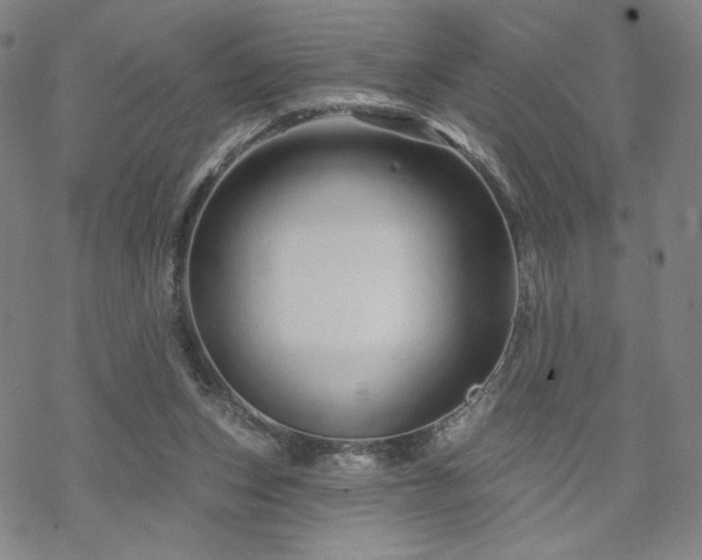 X0000070180159200606021041