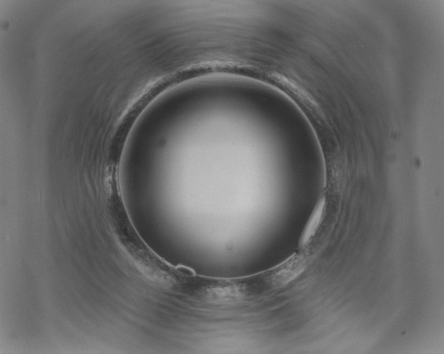 X0000070180160200606021041