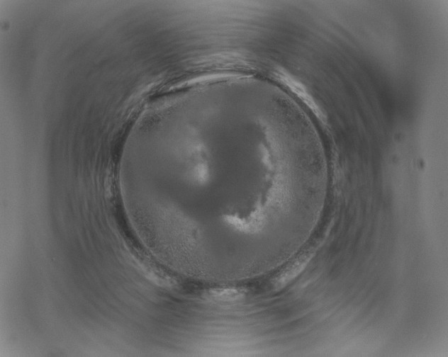 X0000070180161200606021041