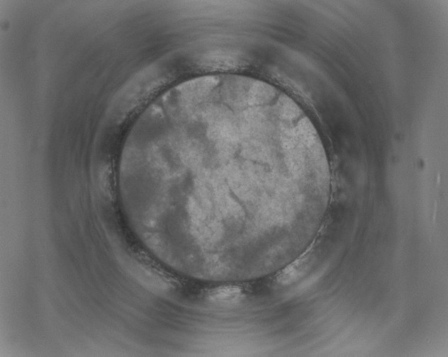 X0000070180162200606021041