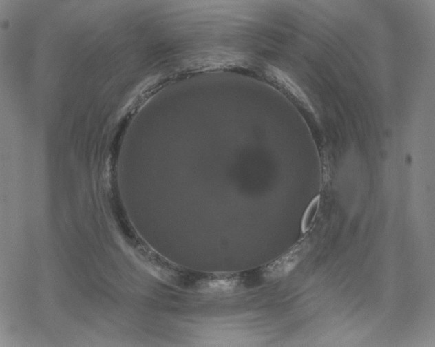 X0000070180163200606021041