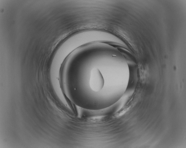 X0000070180164200606021041