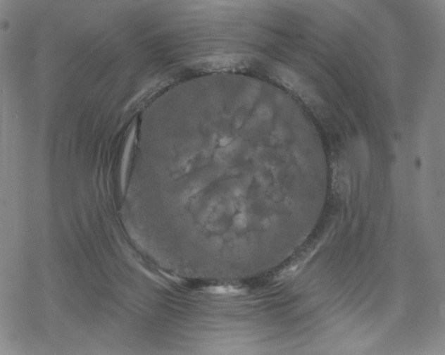 X0000070180165200606021041