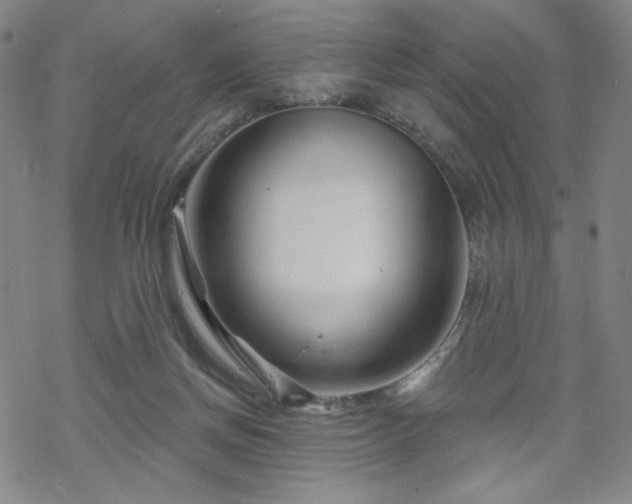 X0000070180166200606021041