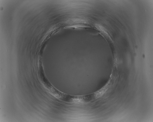 X0000070180167200606021041