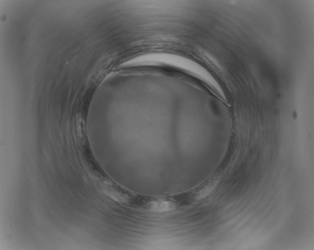 X0000070180169200606021041