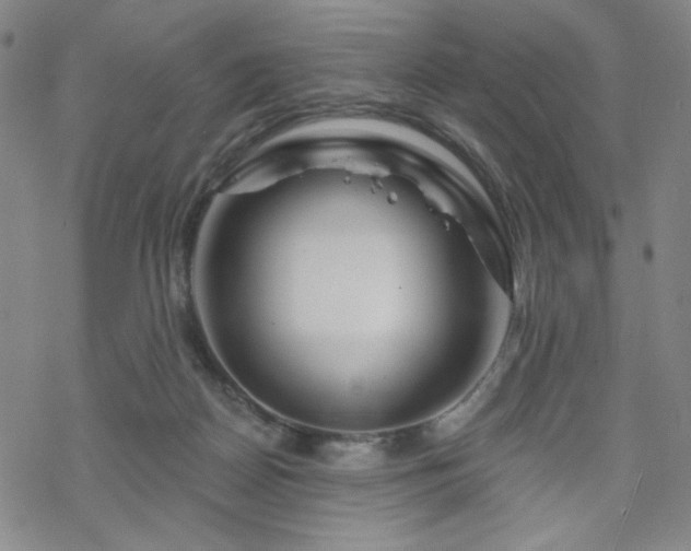 X0000070180170200606021041